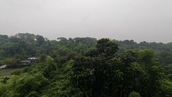 Normanton Park (D5), Apartment #638332871